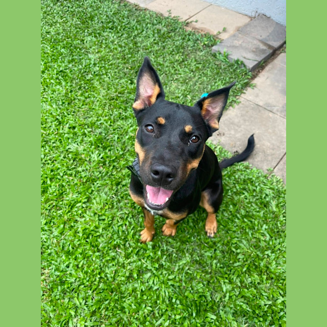Photo of Bonnie