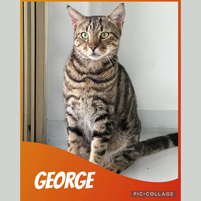 Photo of George 