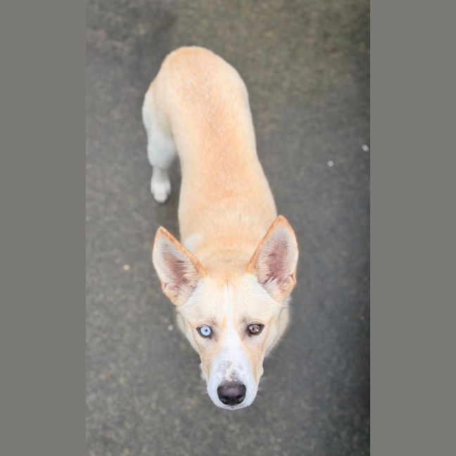 Photo of Sugar