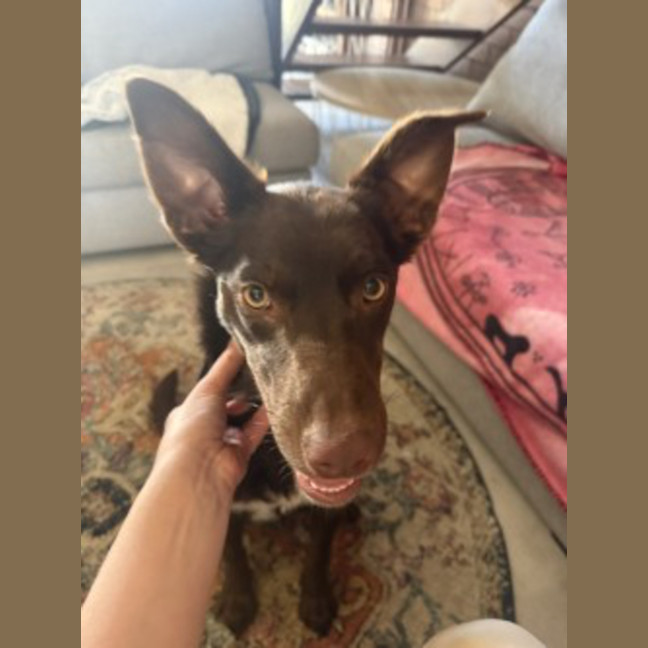 Photo of Gus