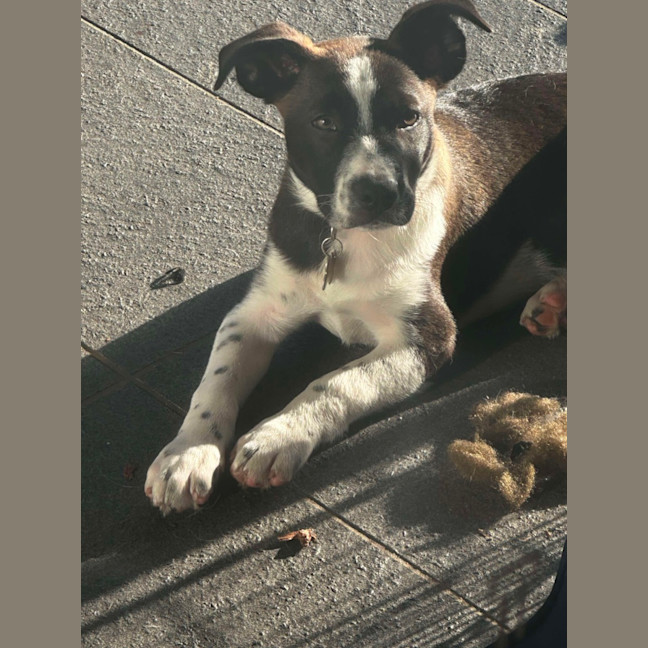 Photo of Cash