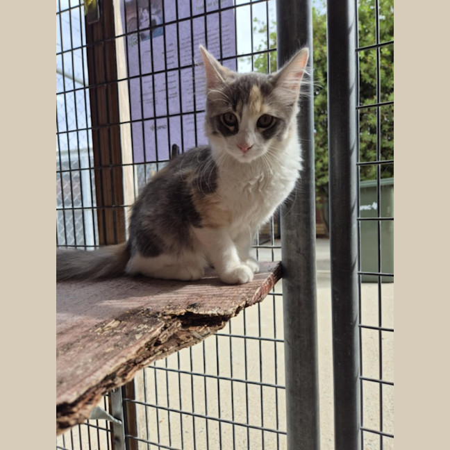 Photo of Ella! ❤️