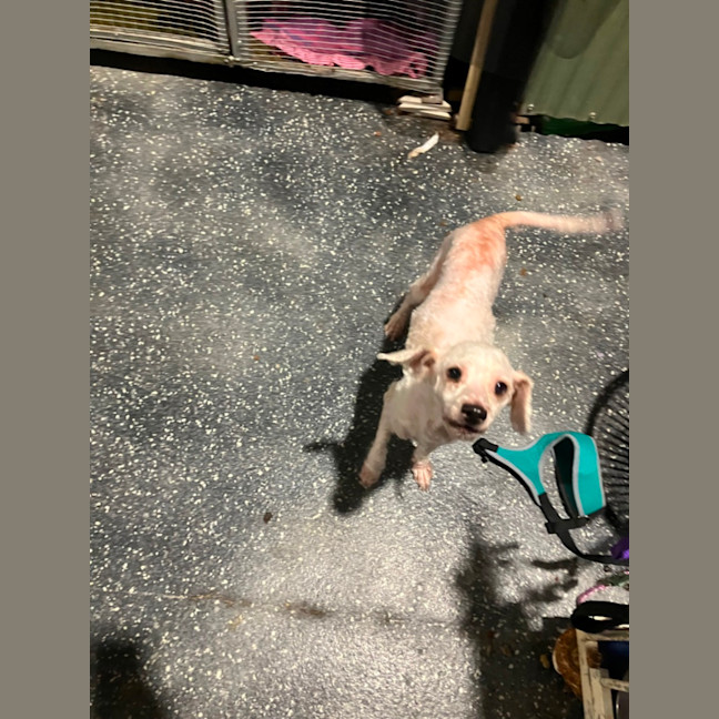 Photo of Zara