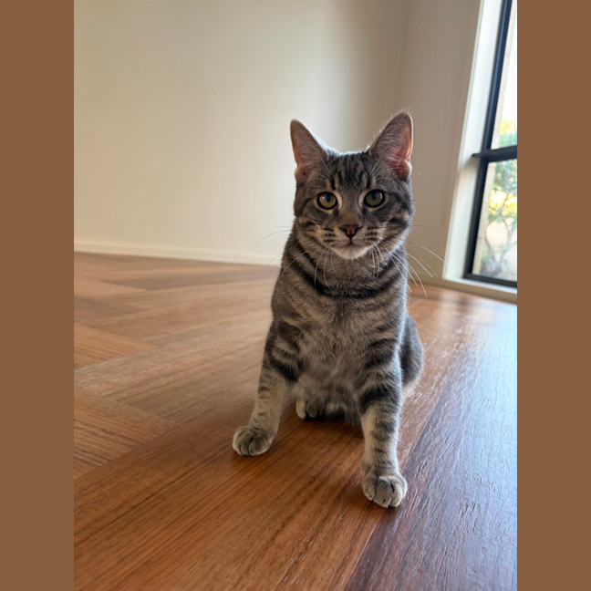 Photo of Jeremiah