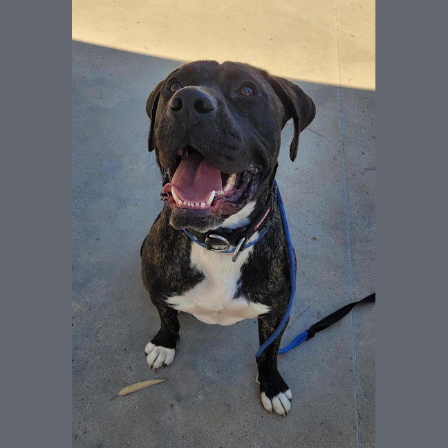 Photo of Mickey Cash