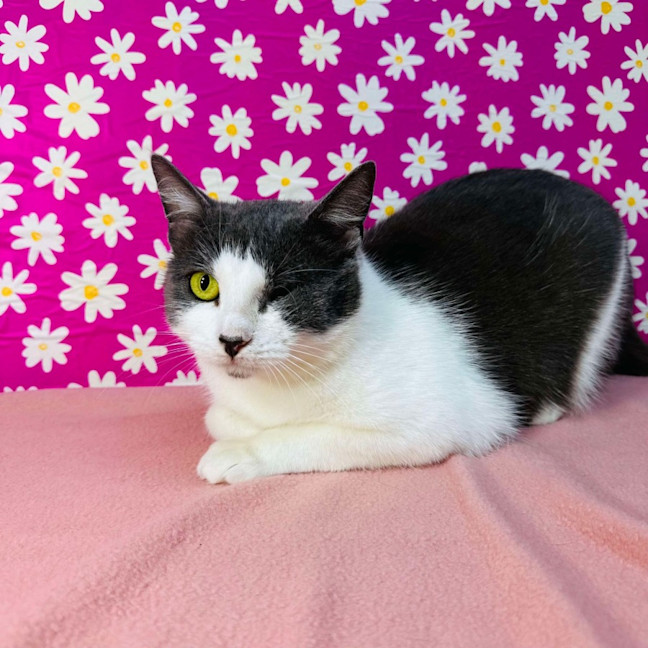 Photo of Bonnie   Located In Preston