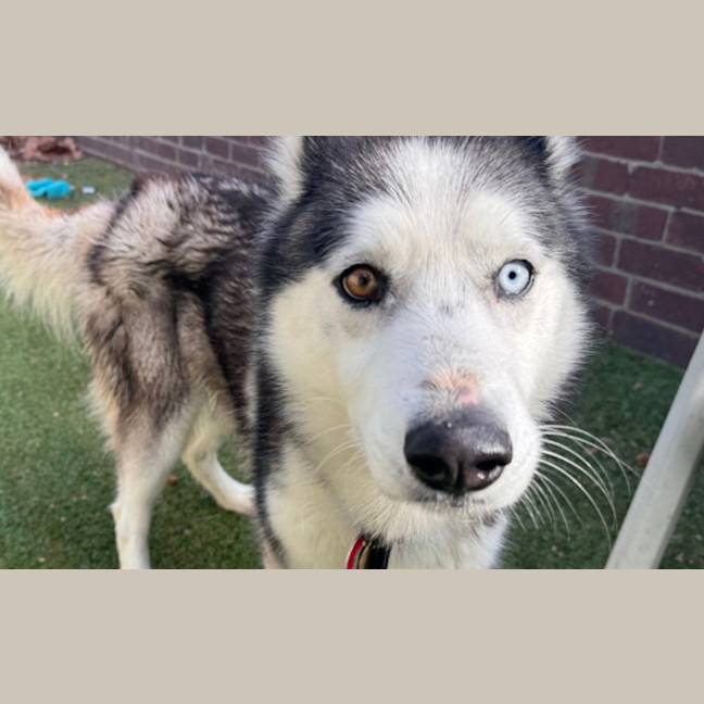 Photo of Max