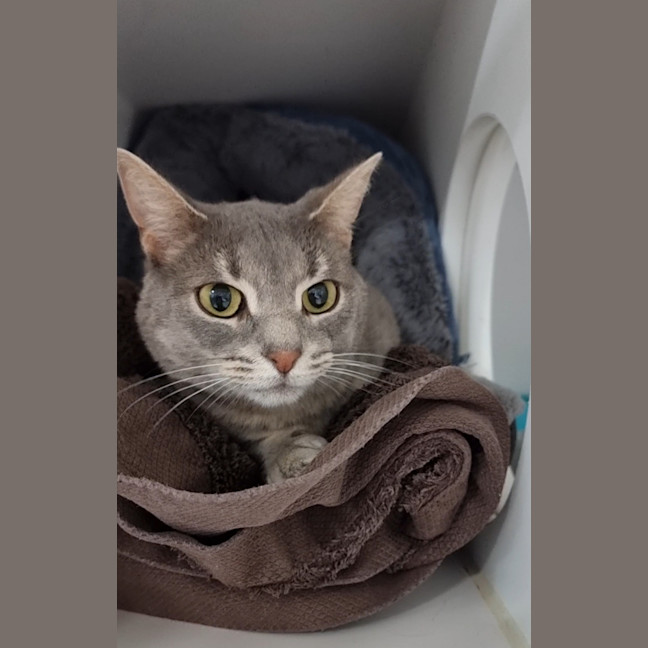 Photo of Tia