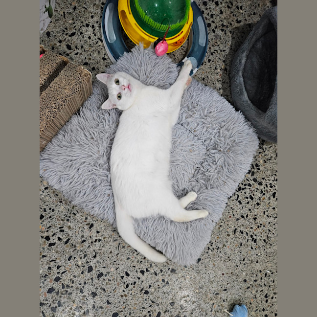 Photo of Rinnie