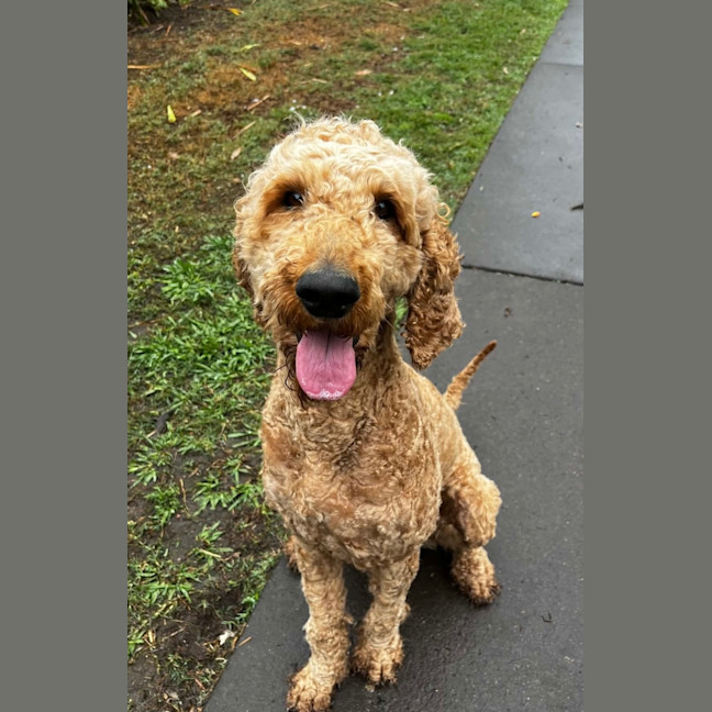 Photo of Molly