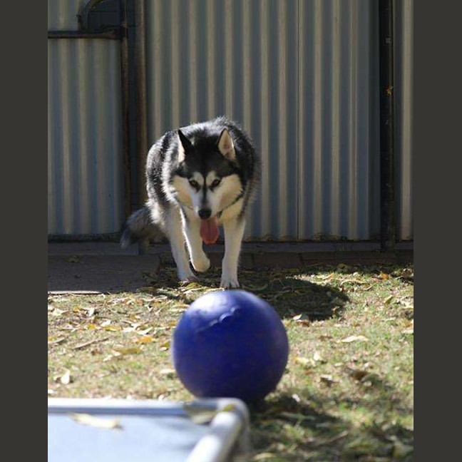 Photo of Delilah