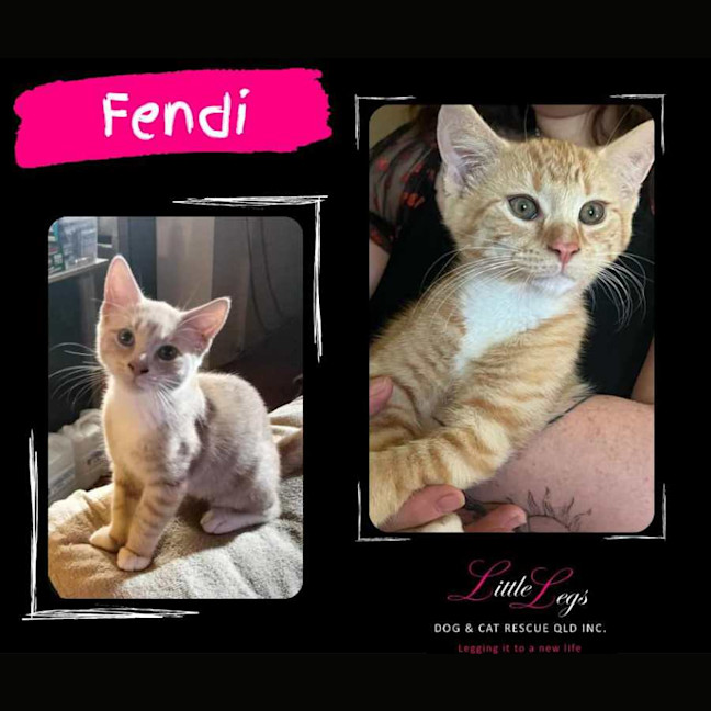 Photo of Fendi