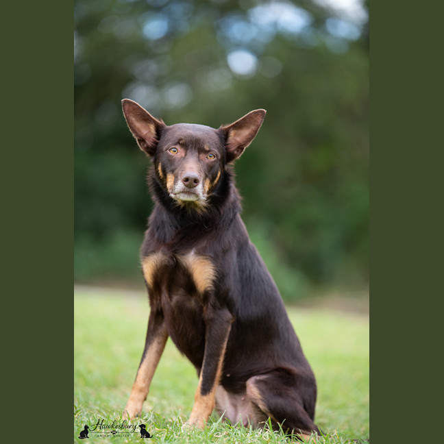 Photo of Echo