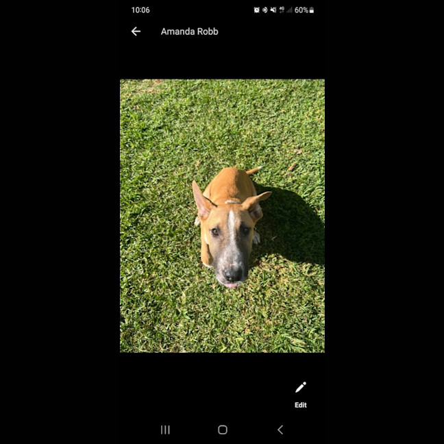 Photo of Peanut