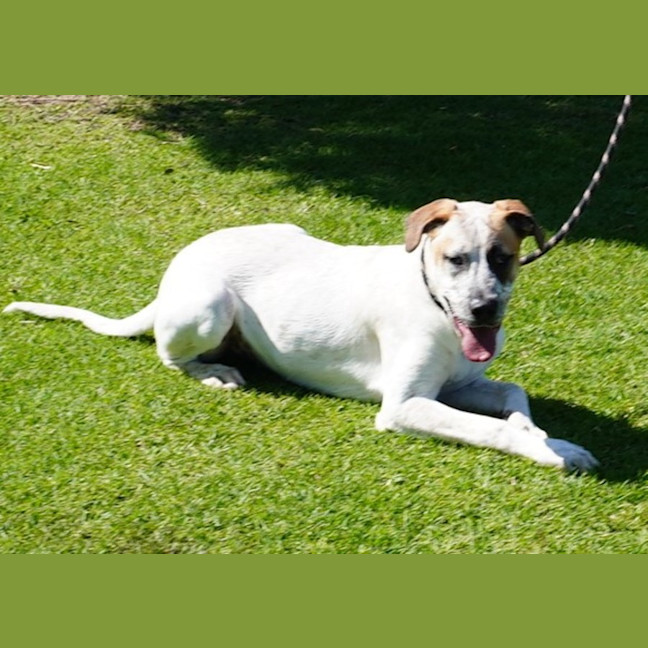 Photo of Ricky Bobby