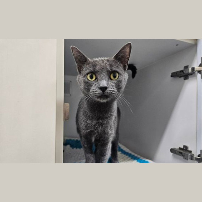 Photo of Mavis