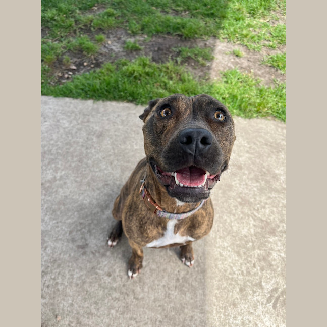 Photo of Mollie