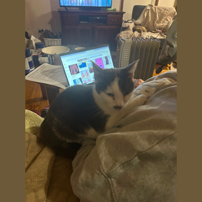 Photo of Cookie Mumma