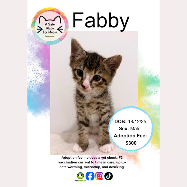 Photo of Fabby