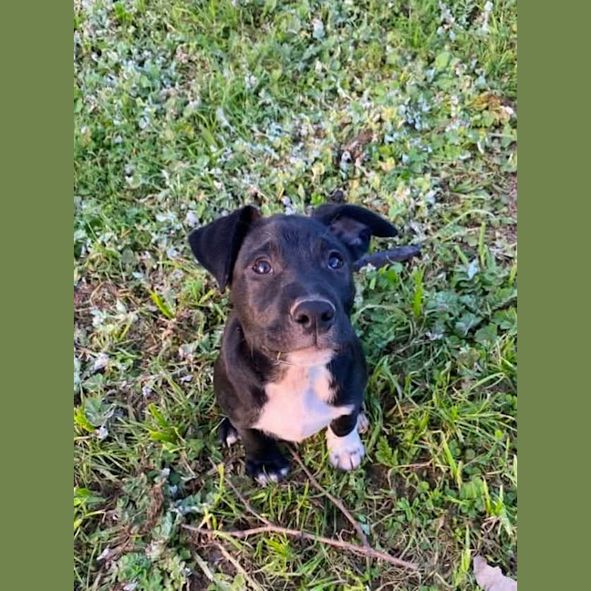 Photo of Stormy