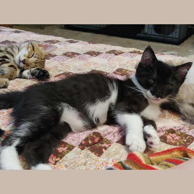 Photo of Wednesday 