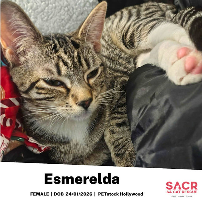 Photo of Esmerelda