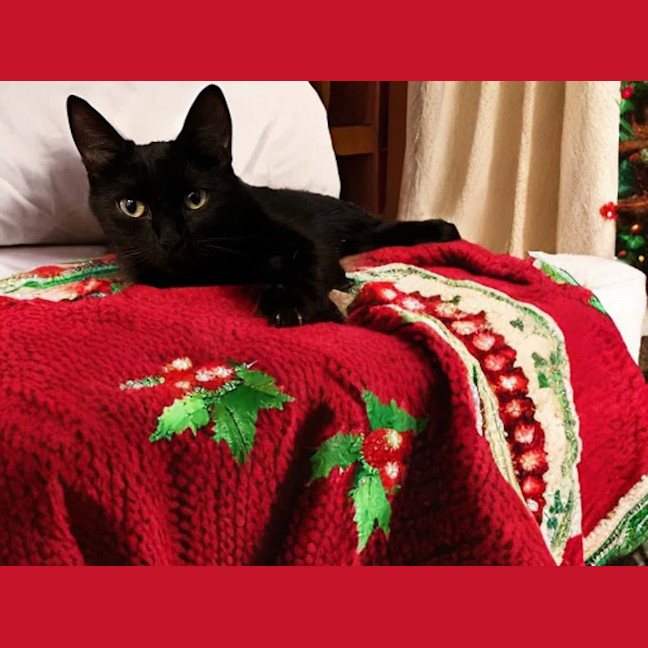 Photo of Cleo