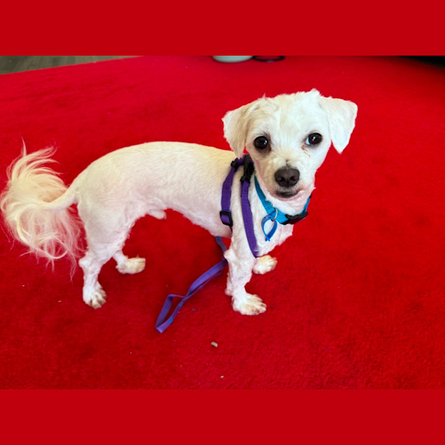 Photo of Benny