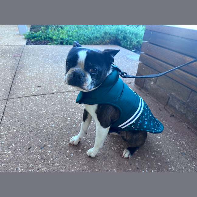 Photo of Timmy