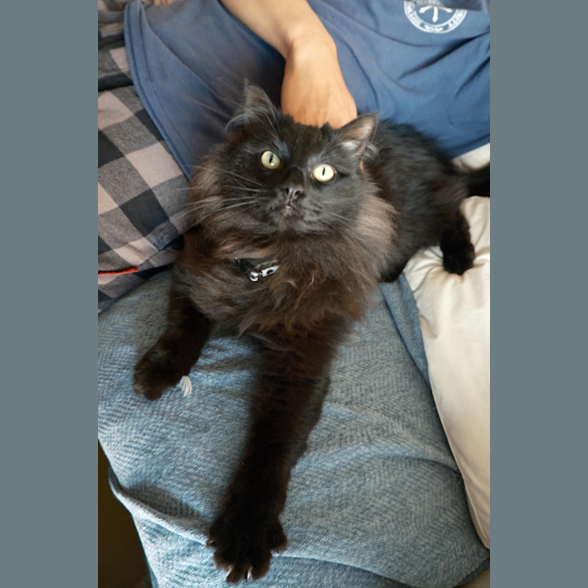 Photo of Rollie