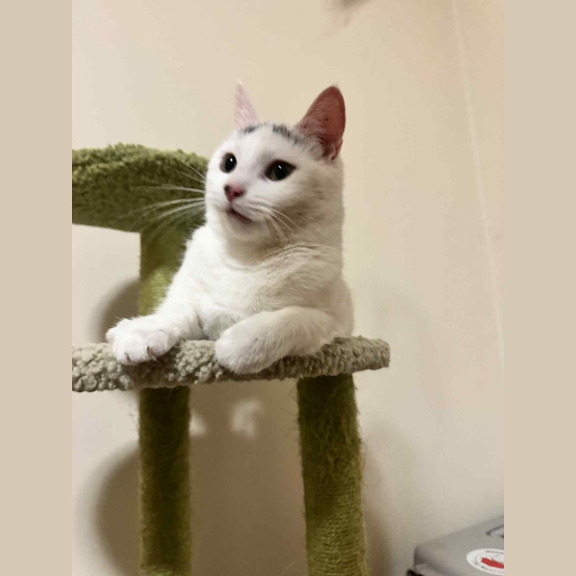 Photo of Nora   In Foster Care In Fawkner