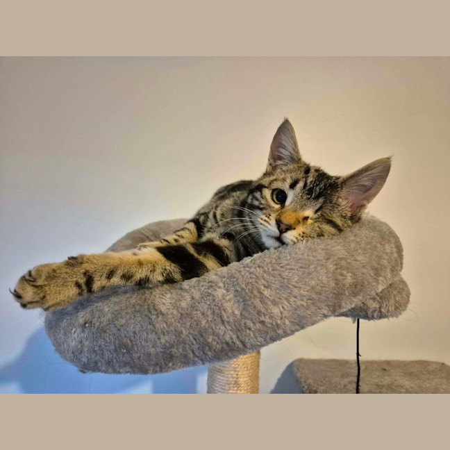 Photo of Stephaine 