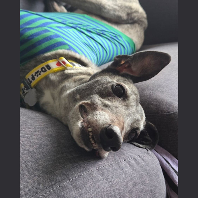 Photo of Nora