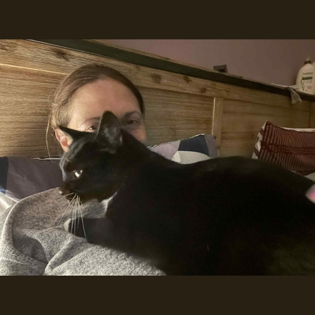 Photo of Hershey   Located In Bentleigh East