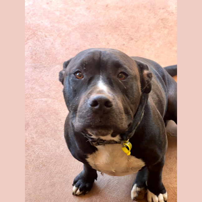 Photo of Oodie (Muggsy)