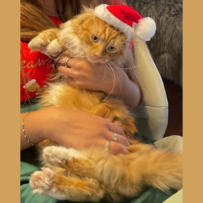 Photo of Peaches 