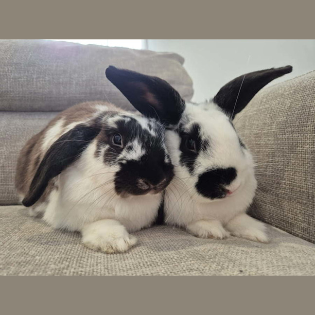 Photo of Andy & Astro