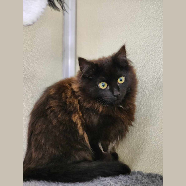 Photo of 🍫 Malteaser 5469 🍫