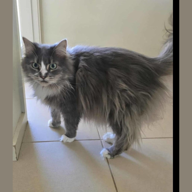 Photo of Angel