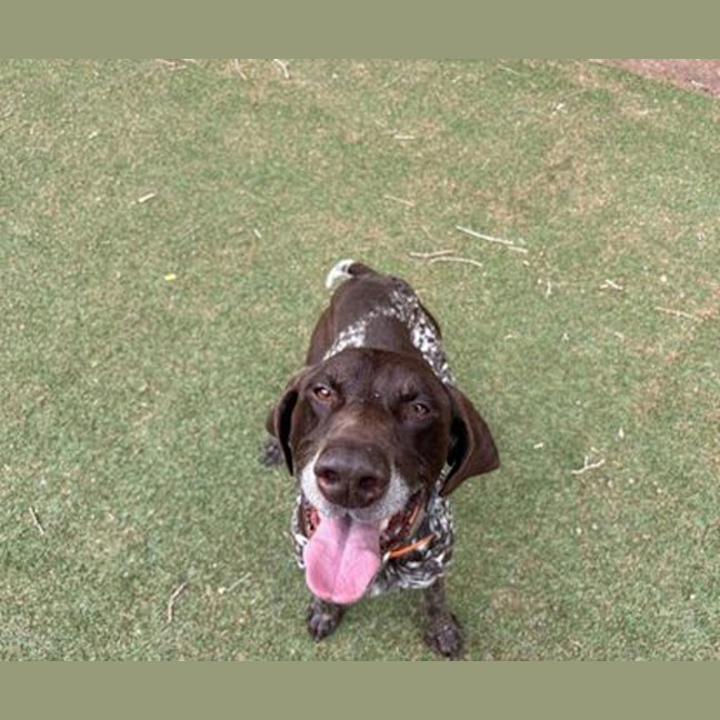 Photo of Hunter