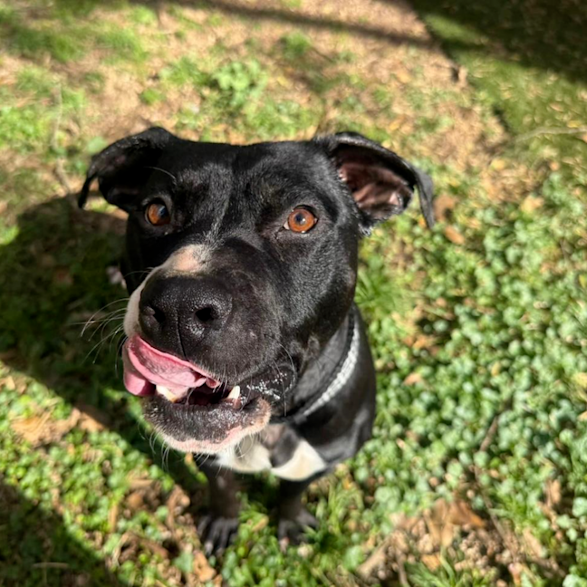 Photo of Rogan