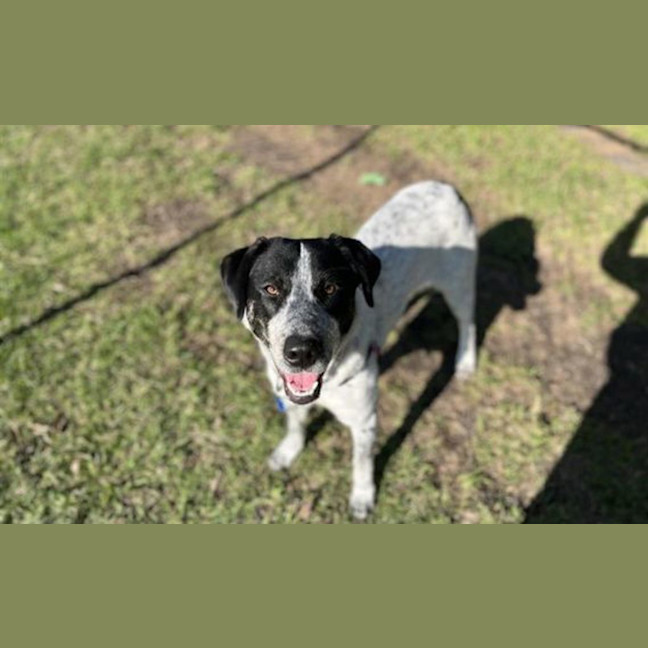 Photo of Delilah