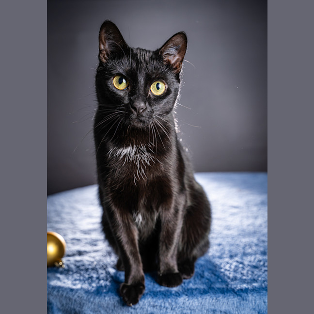 Photo of Betty
