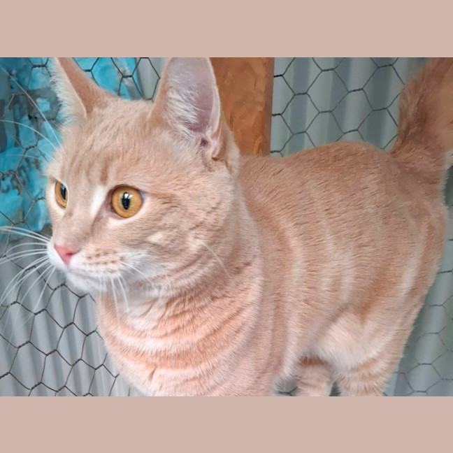 Photo of Champy