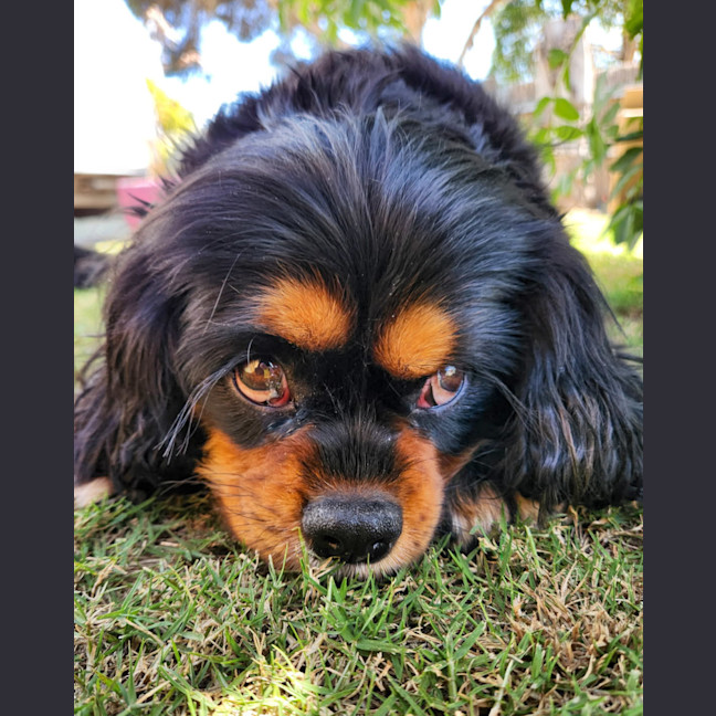 Photo of Hope 