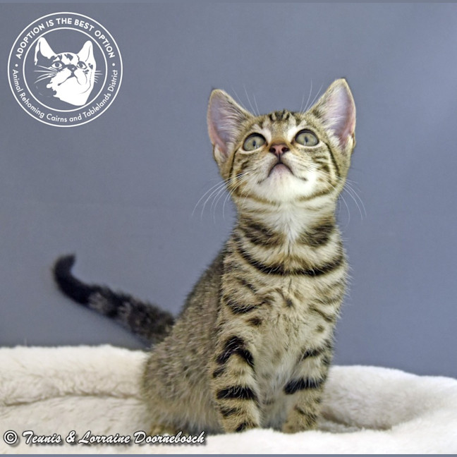 Photo of Millicent