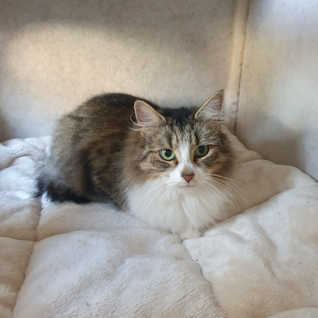 Photo of Sasha 🌷🌷