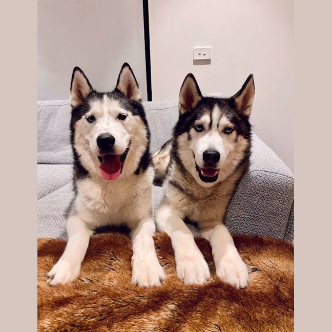 Photo of Digga & Shadow