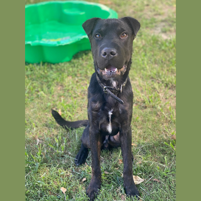 Photo of Nero