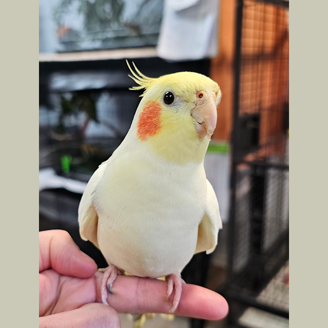 Photo of Bingo